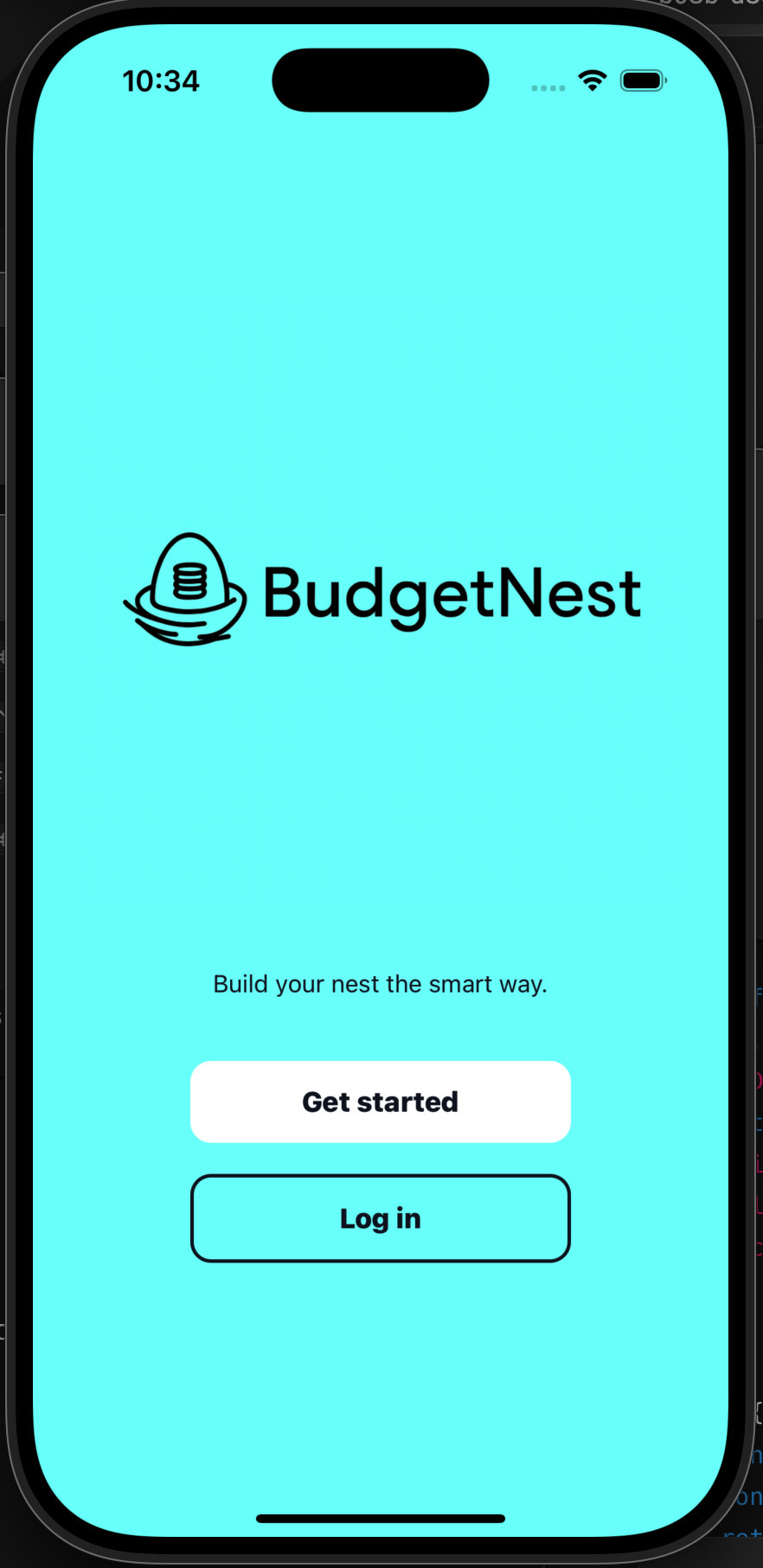 BudgetNest opening screen