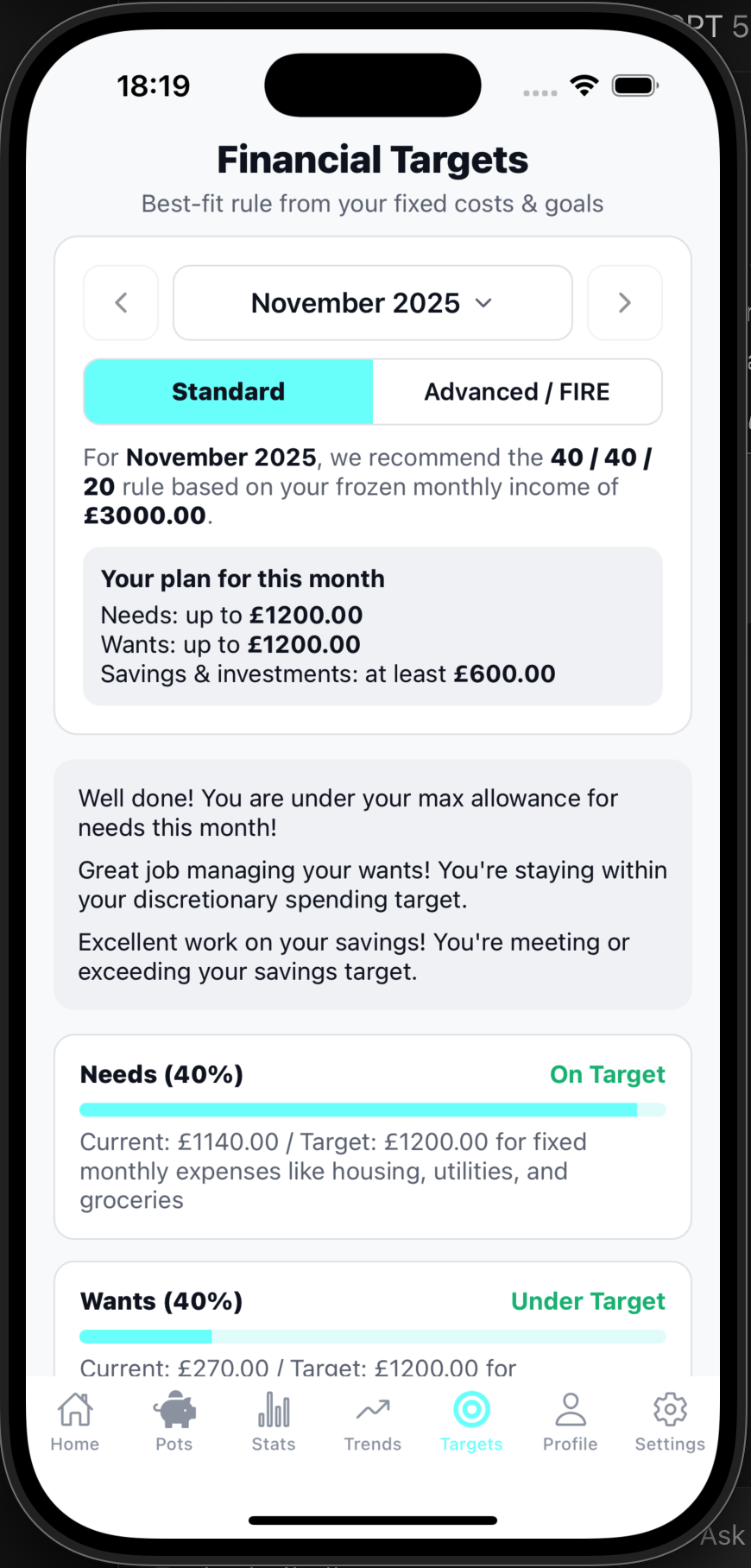 BudgetNest targets screen